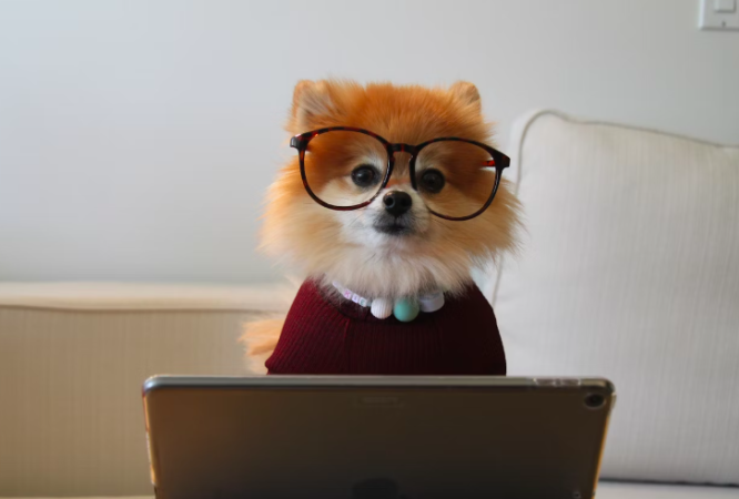 Screen Shot 2025-03-12 at 12.08.04 PM