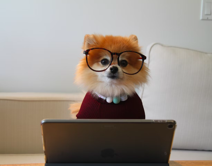 Screen Shot 2025-03-12 at 12.08.04 PM